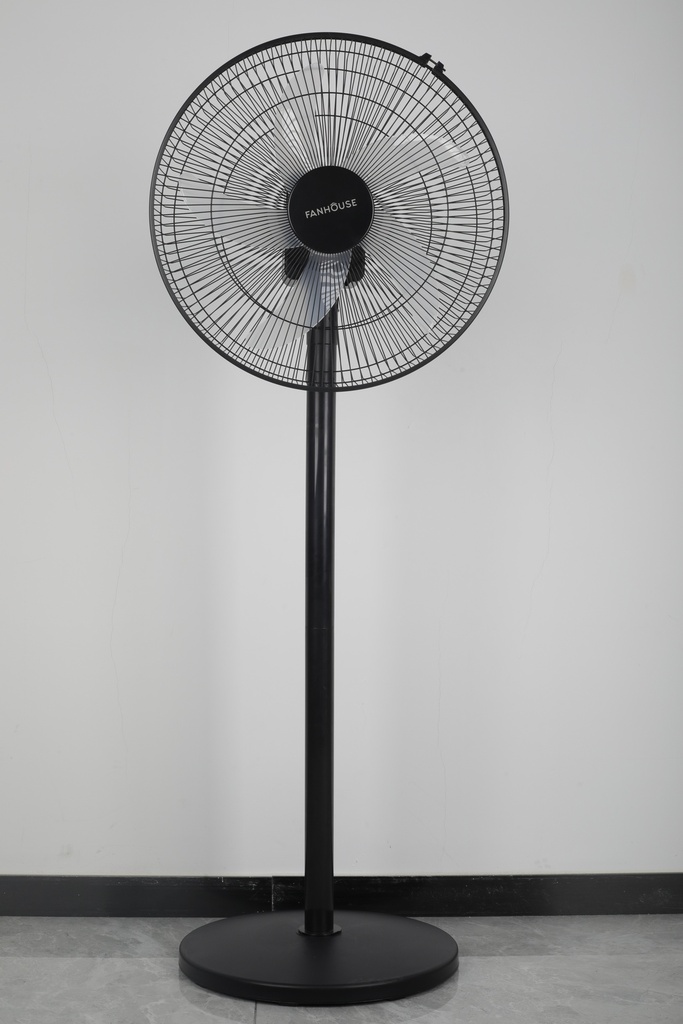 V06105__1.JPG