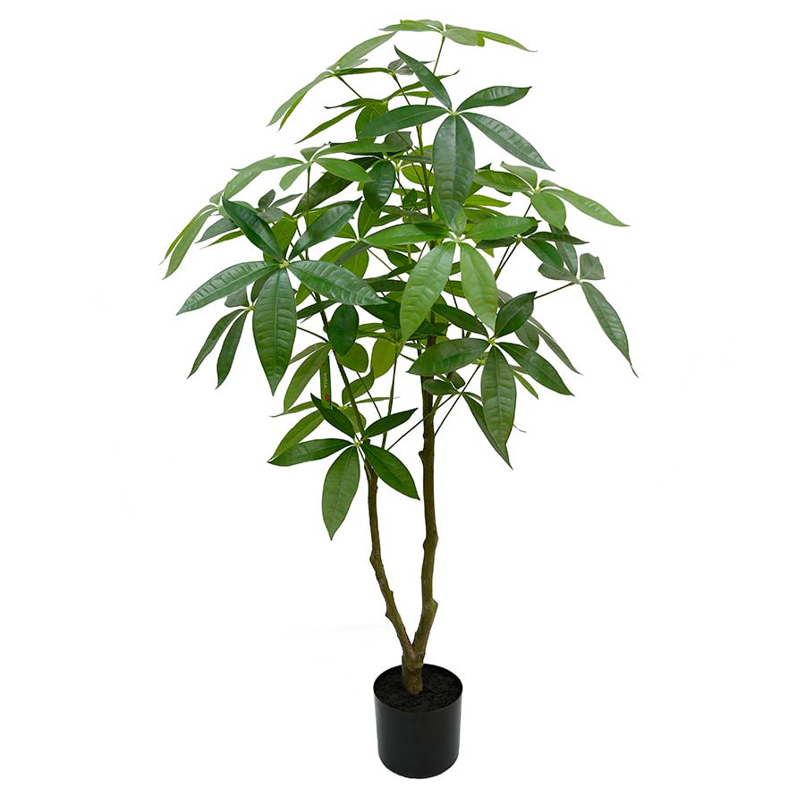 Planta arbol del dinero con maceta negra 123 cm
