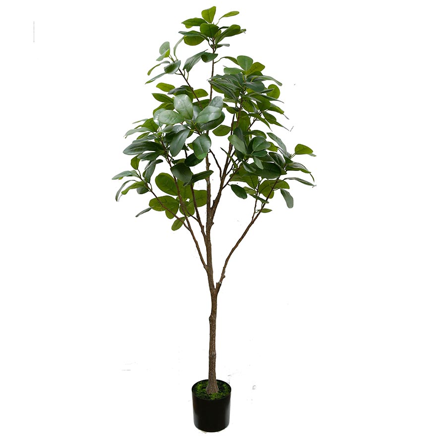 Planta decorativa ficus con maceta negra 196 cm