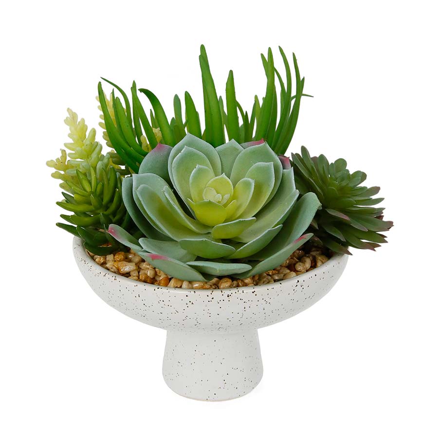 Arreglo suculentas I con macetero de ceramica