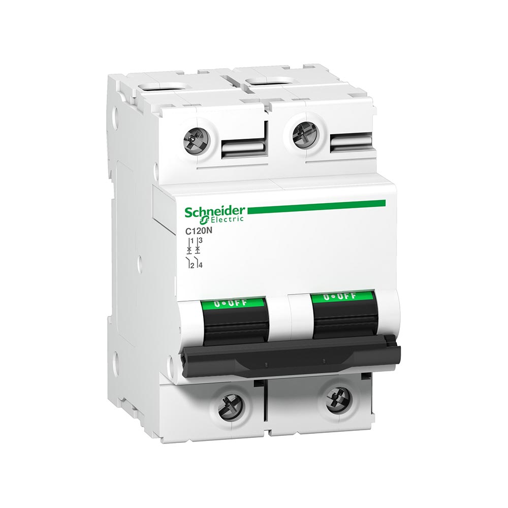BREAKER RIEL DIN 2P 125A C120N C A9N18363