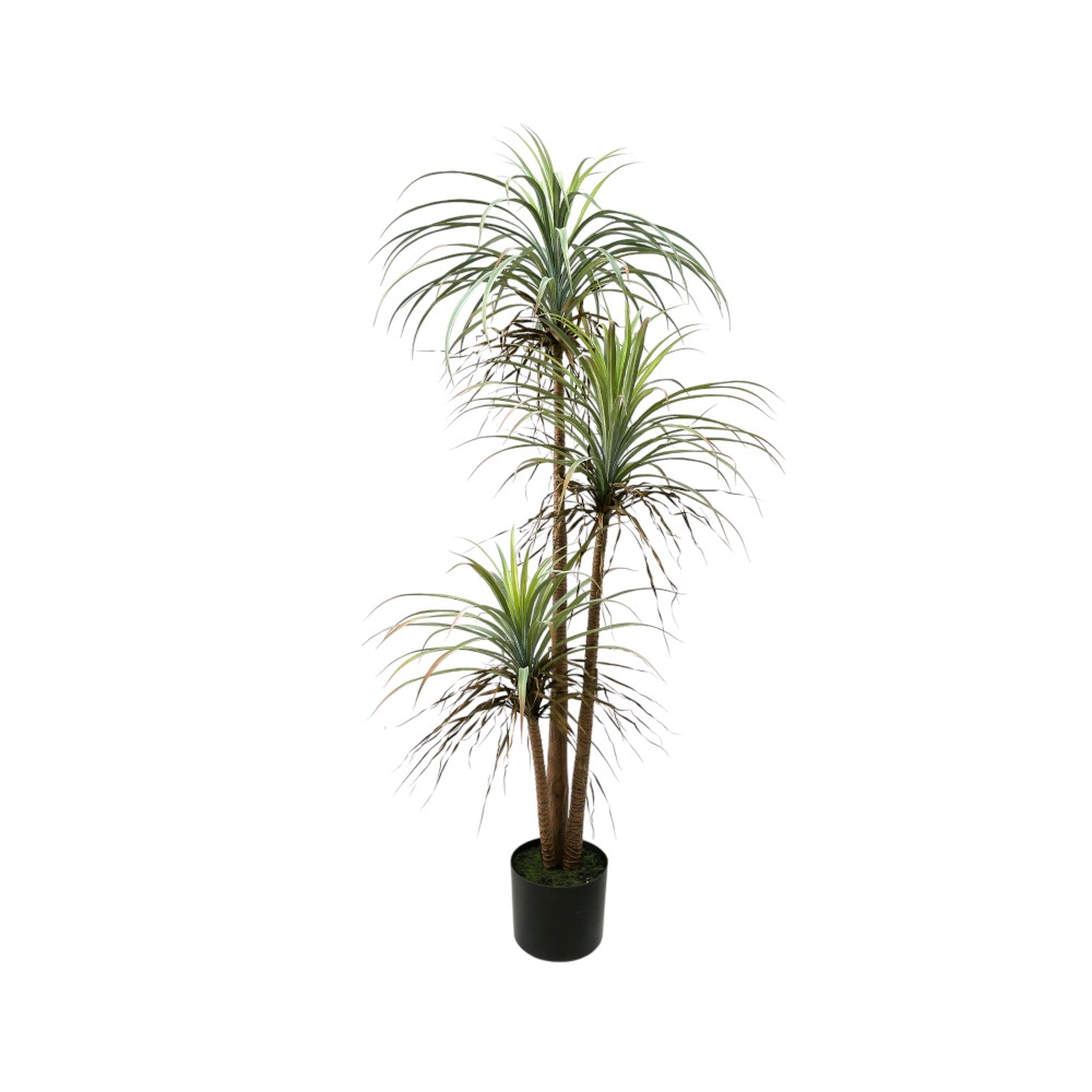 Planta artificial Palma con maceta color negro H182 cm
