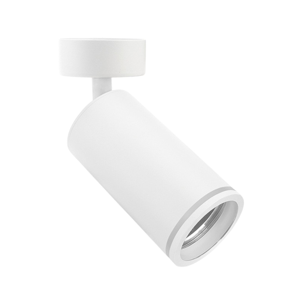 Spot GU10 dirigible Derek blanco