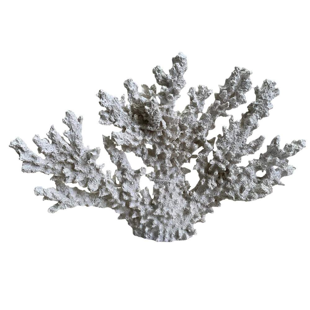 Adorno Coral Nemo de resina blanca 32x24cm