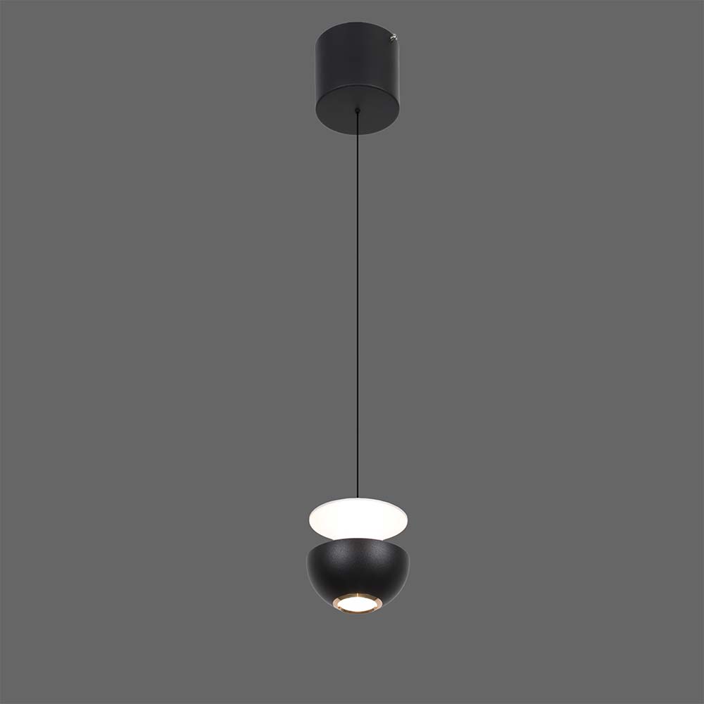 Lámpara colgante led Apple negra con luz cálida